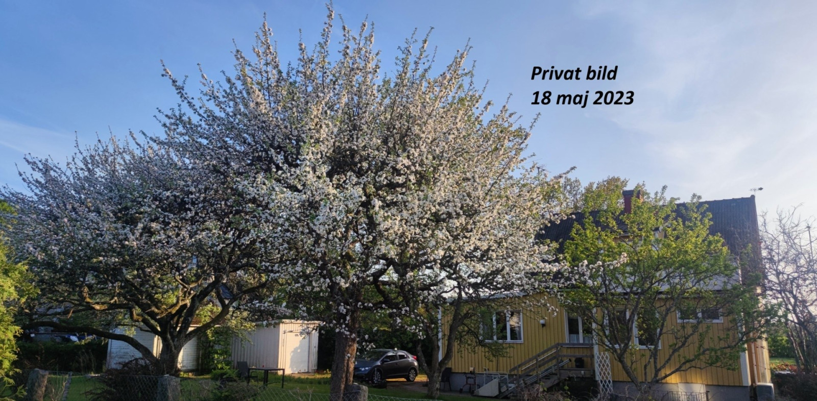 Privat bild, 18 maj 2023 Skärsjövägen 2