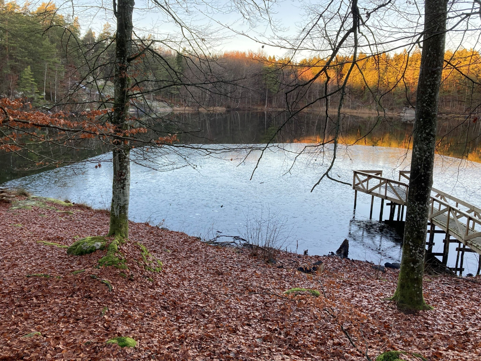 Skärsjön, Privat bild Lungörtsvägen 20