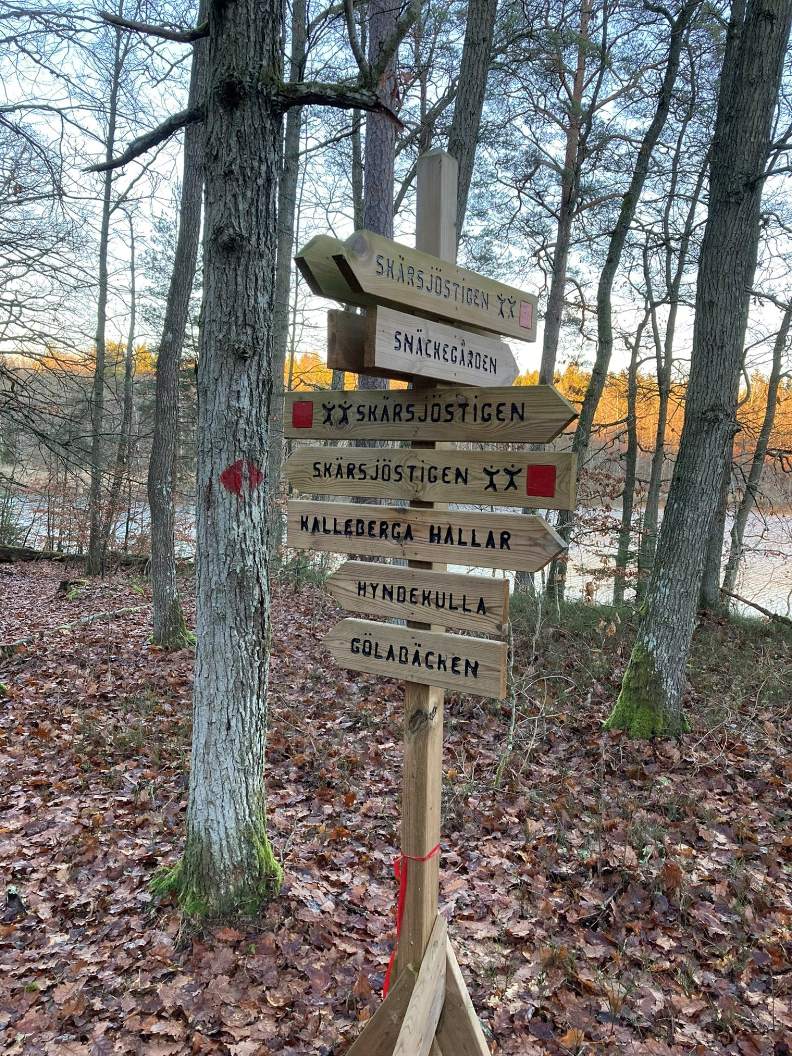 Promenadstigar vid Skärsjön, Privat bild Lungörtsvägen 20