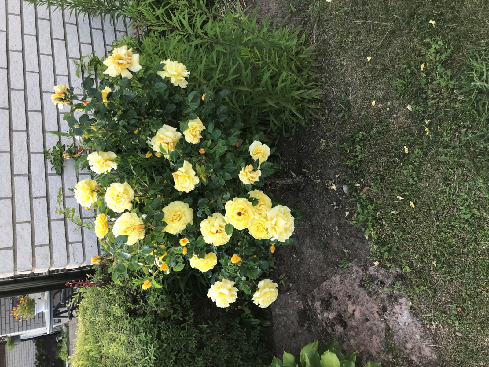 Privat bild Ådalsvägen 14