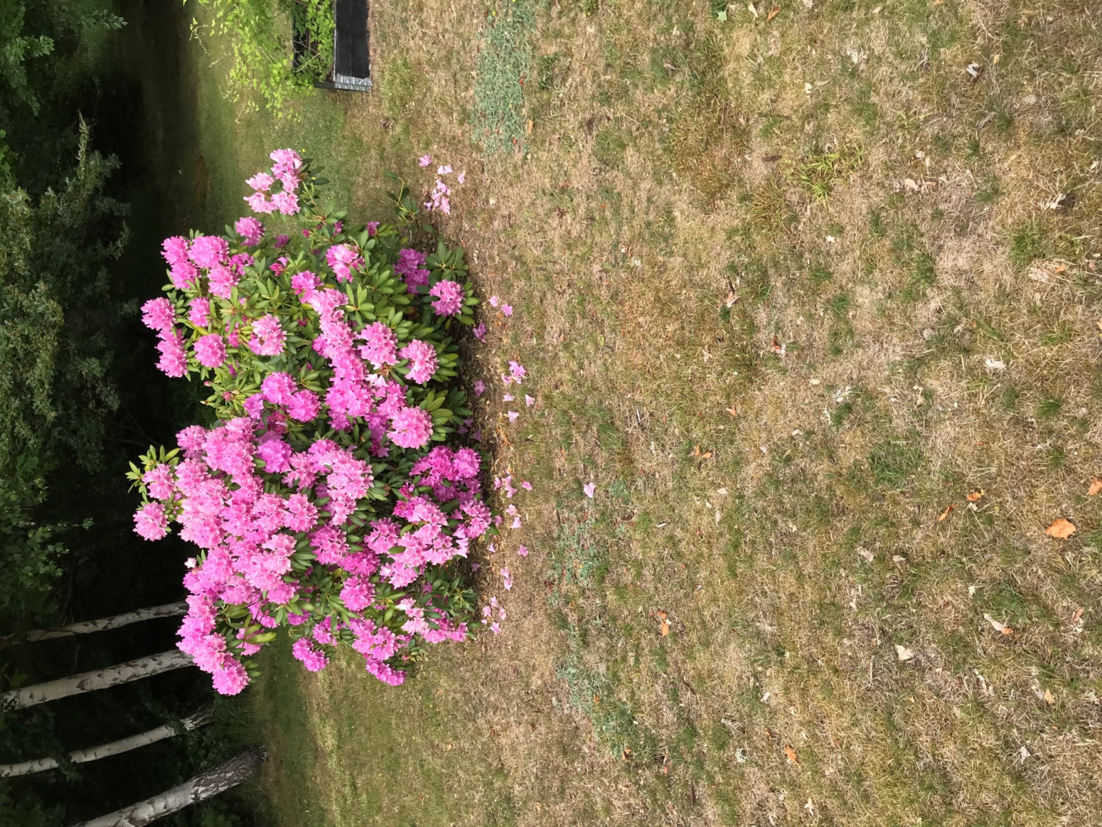 Privat bild Ådalsvägen 14